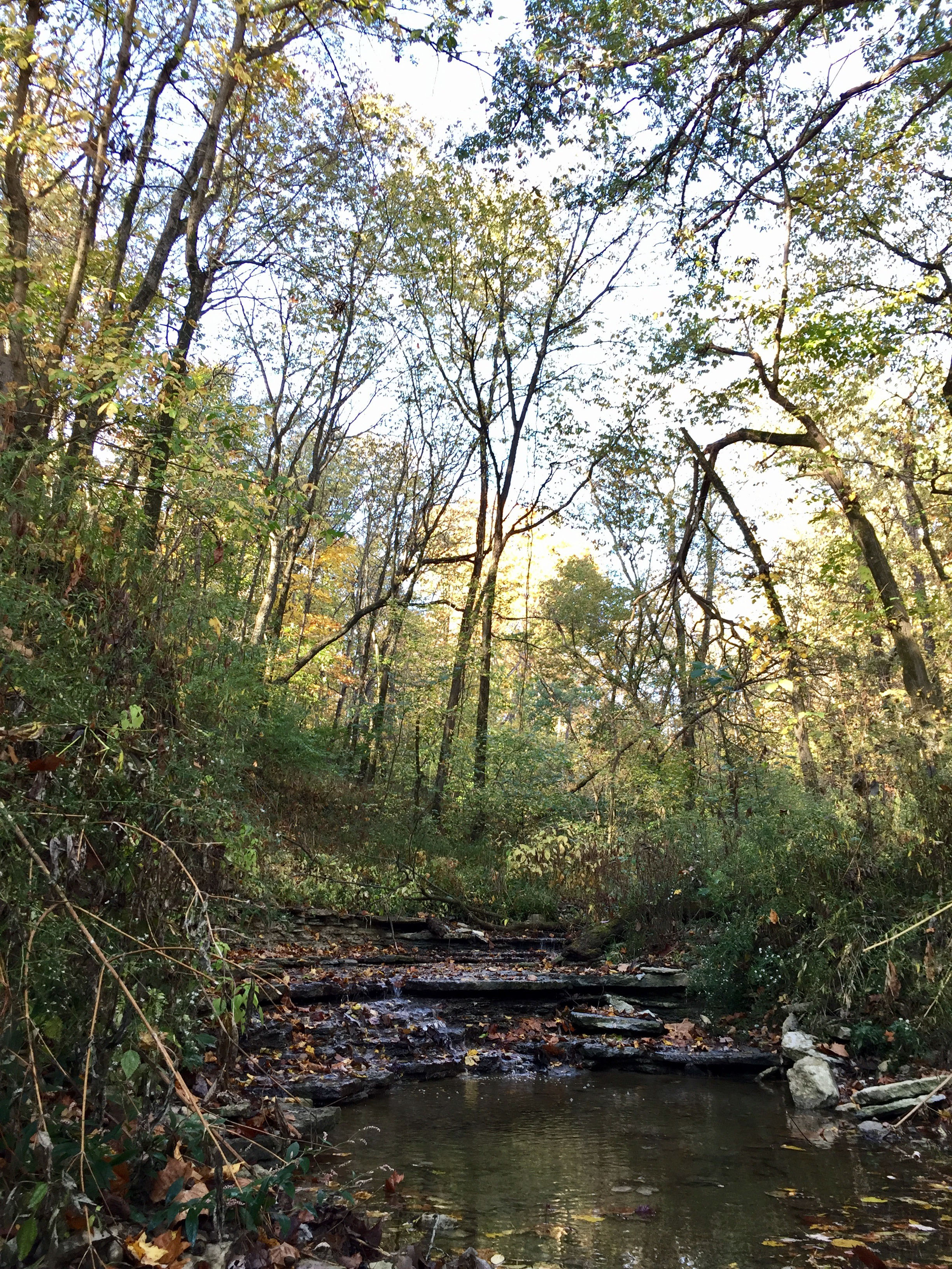 Lick Run Greenway stream channel, Looking east from Grand Avenue toward the pedestrian bridge