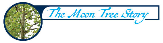 Graphic that says Story of the Moon Tree