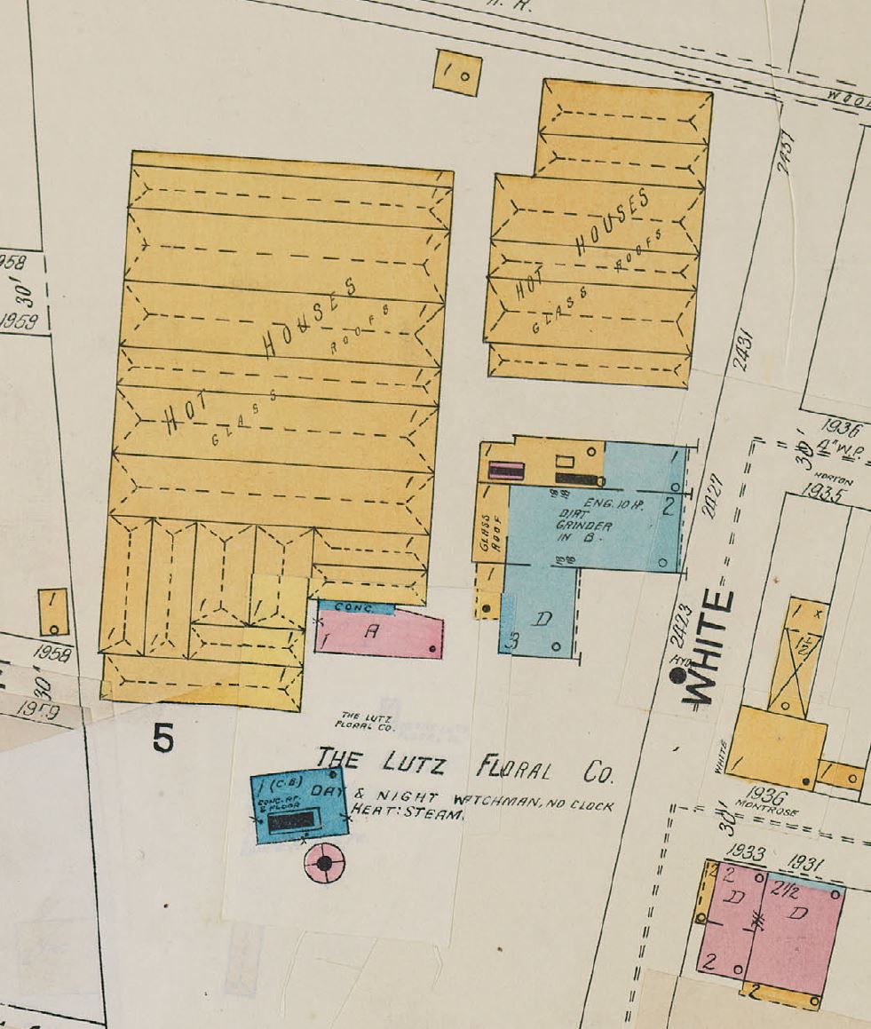 Sanborn Map of Lutz Floral Company