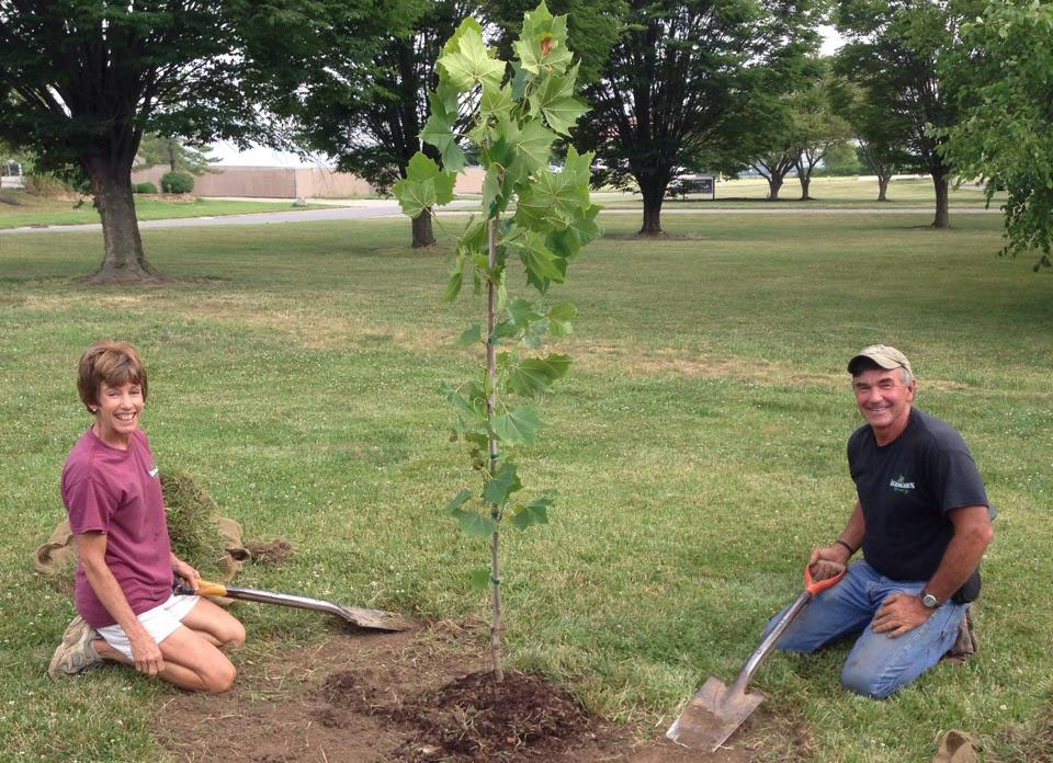 Baby moon tree planted on the grounds of Dennis Smith's new company location in Fairfield