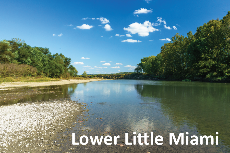 MSD's Water Quality Story Map image