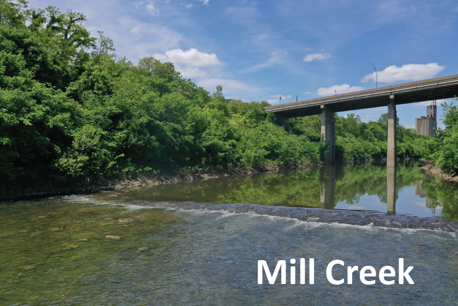 MSD's Mill Creek Water Quality Story Map image