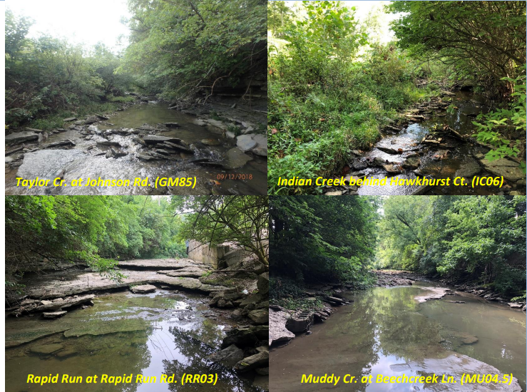 Snapshot of all 4 watersheds