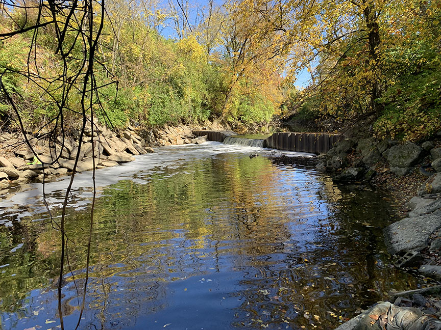 Bonecrusher dam on the Mill Creek