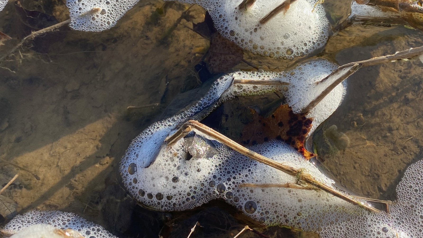 No Sewage Leak in Little Miami River